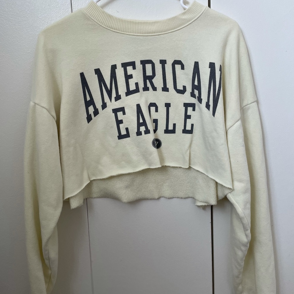 Cropped American Eagle Crewneck